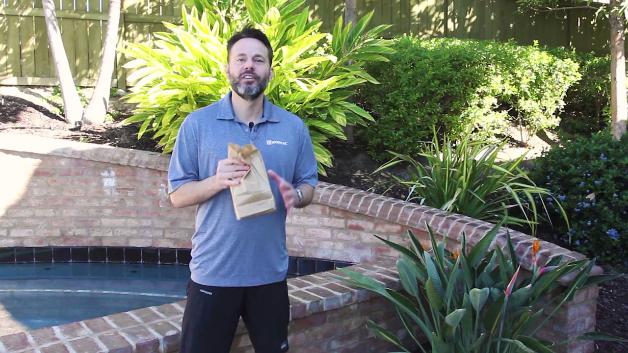Tips and Tricks - Get Rid of Wasps Around the Pool