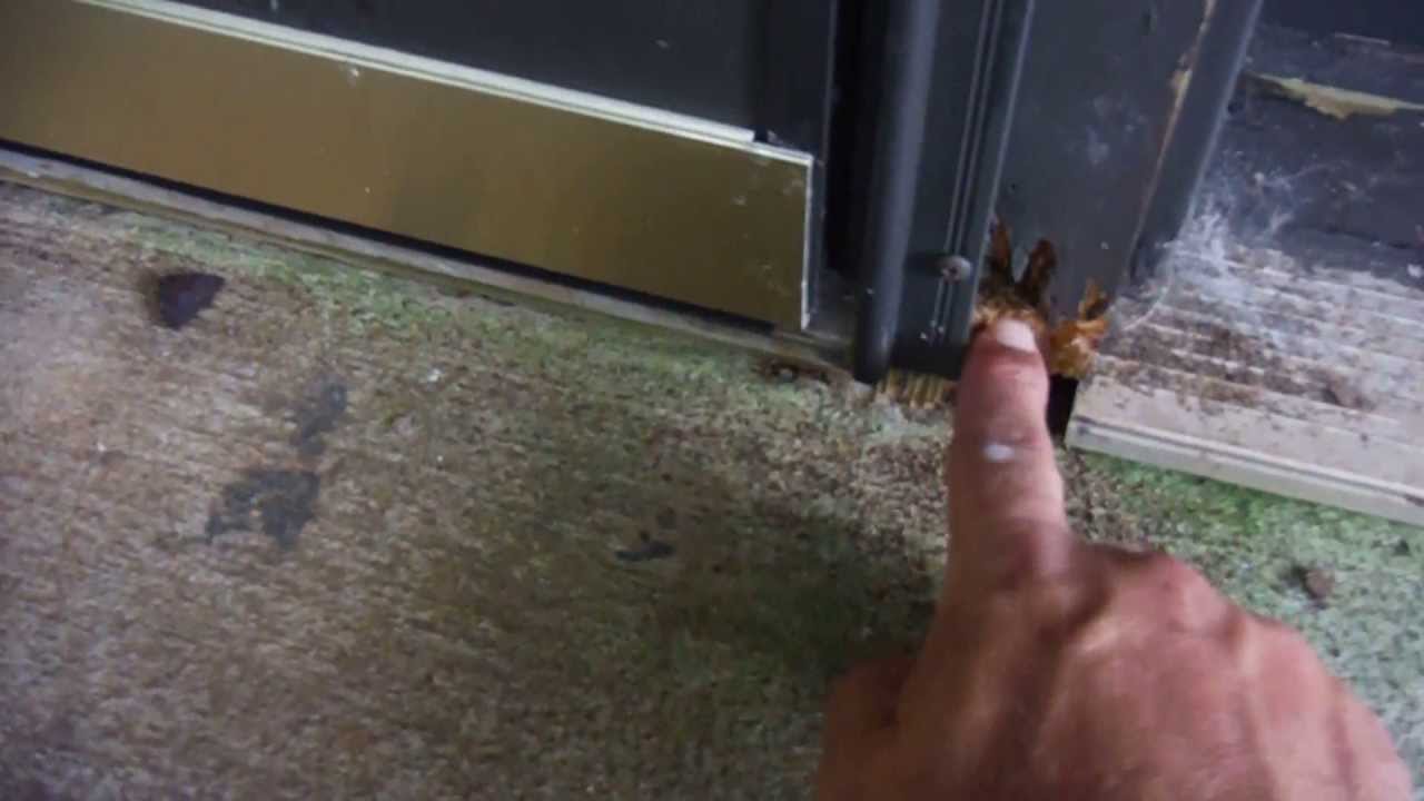 Charlotte Home Inspector Show What Carpenter Ant Damage Looks Like