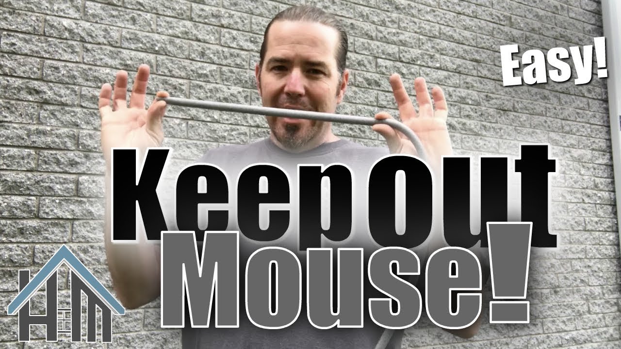 How to keep out mice and other pests! How to seal up exterior! Easy!