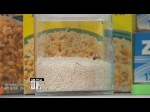 Do You Know What’s Crawling in Your Pantry?