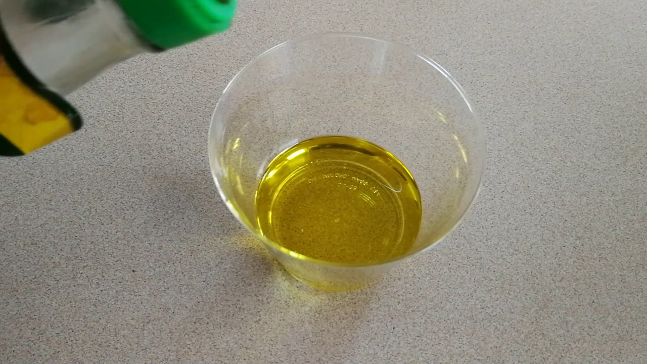 How to catch Earwigs AKA Pincher Bugs using an Oil Trap