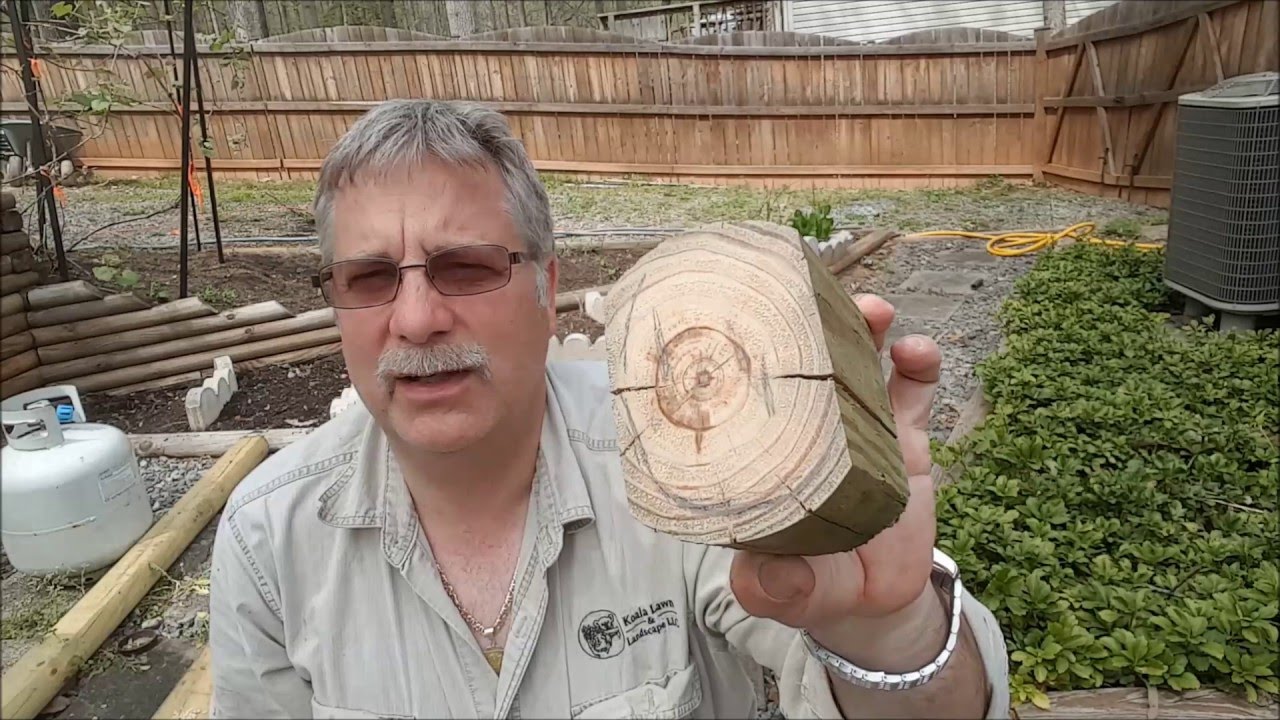 How to tell the difference between wood rot and Termite infestation.