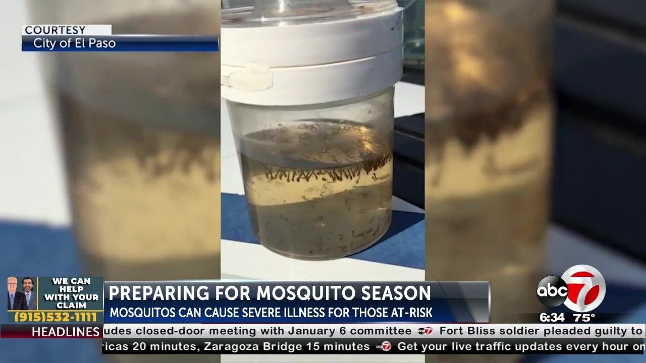 Tips to keep in mind this mosquito season