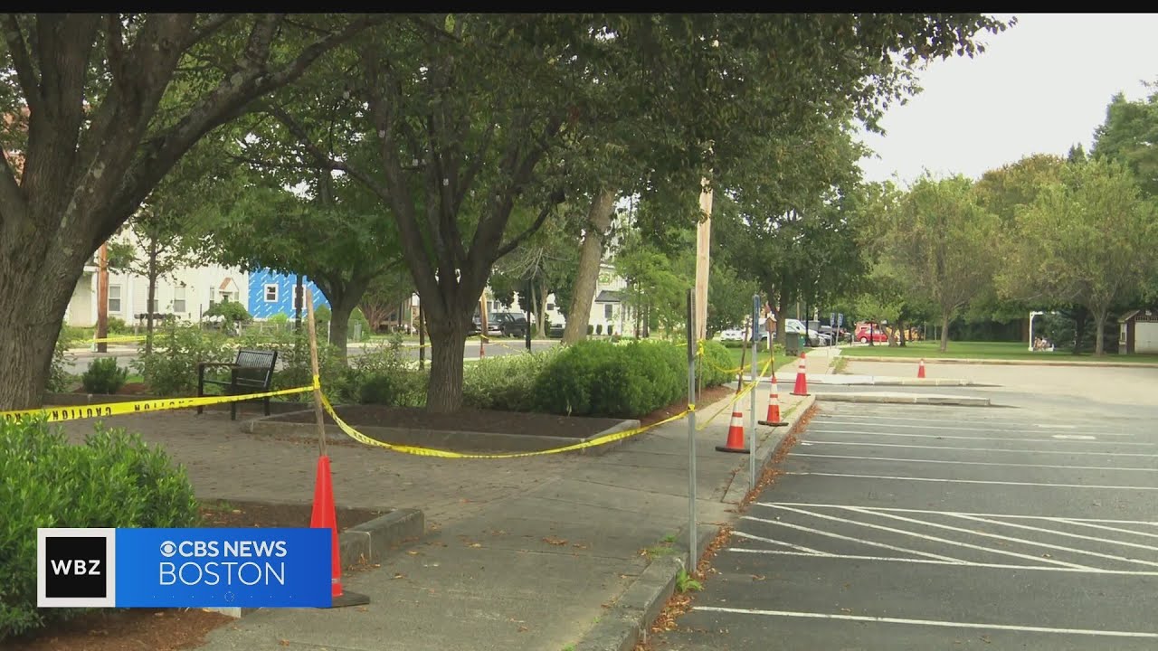 Ashland park blocked off due to aggressive wasps, bees
