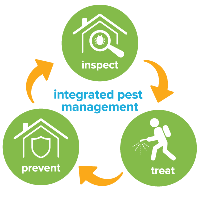 Integrated pest management begins with a thorough inspection, continued treatment, and prevention through regular monitoring 