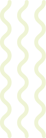 content-lines