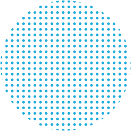 values-circle