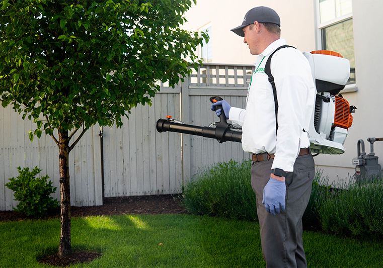 proof. tech spraying a tree