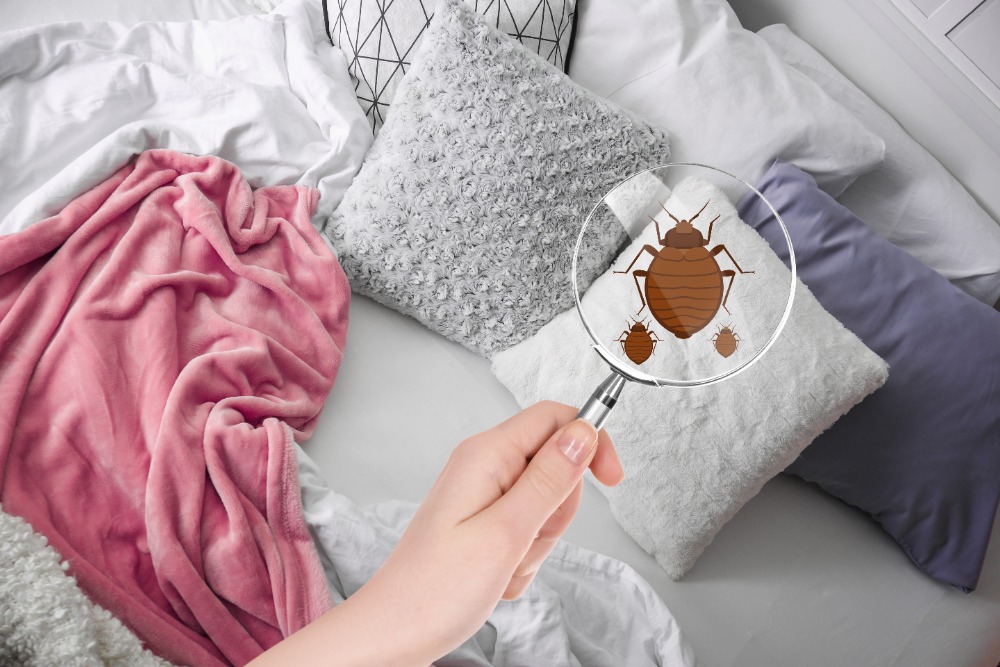Woman with magnifying glass detecting bed bugs in bedroom