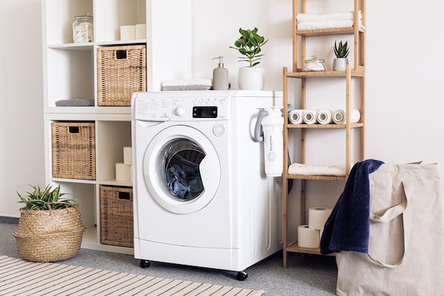 A laundry room full of various shelves, laundry equipment, a plant, and a large, white laundry machine