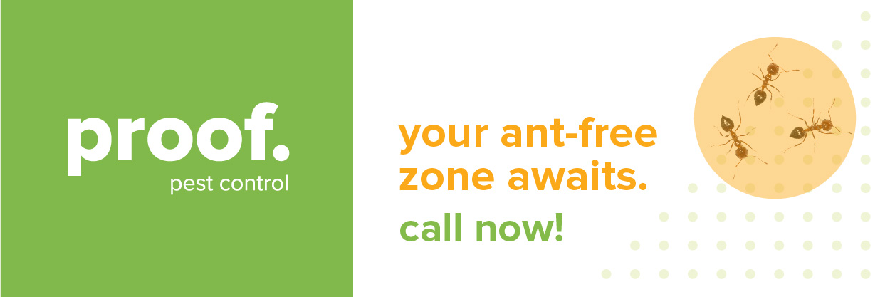 An ant CTA for proof. pest control that includes your ant-free zone awaits. call now!