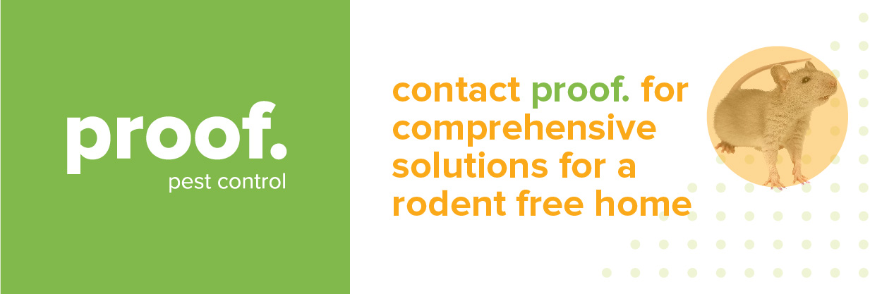 A rodent CTA for proof. pest control that says contact proof. for comprehensive solutions for a rodent-free home alongside a rat in an orange circle