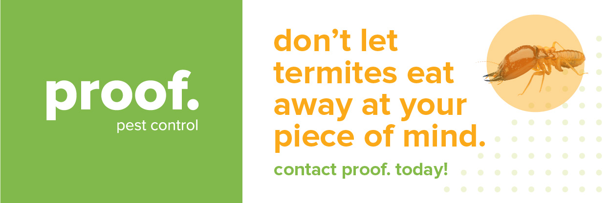 A termite call to action featuring the words proof. pest control. don't let termites eat away at your peace of mind. contact proof. today! alongside a termite in an orange circle