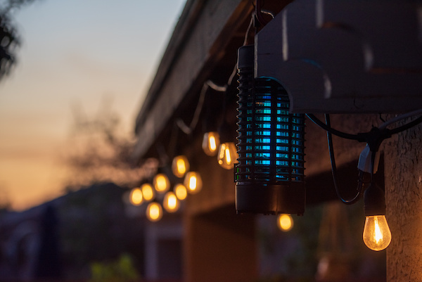 Mosquito bug zapper outside a home at sunset, one of the ways to rid your yard of mosquitoes 
