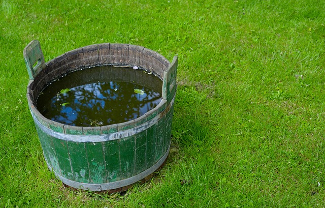 large green water bucket filled with debris on a green lawn