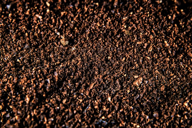 coffee grounds, similar to german roach droppings