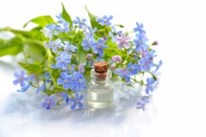 lavender essential oil bottle surrounded by lavender leaves used to make flea repellents for humans