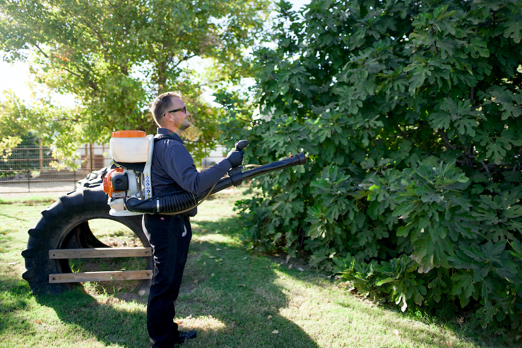 C7309600 proof. tech spraying a tree