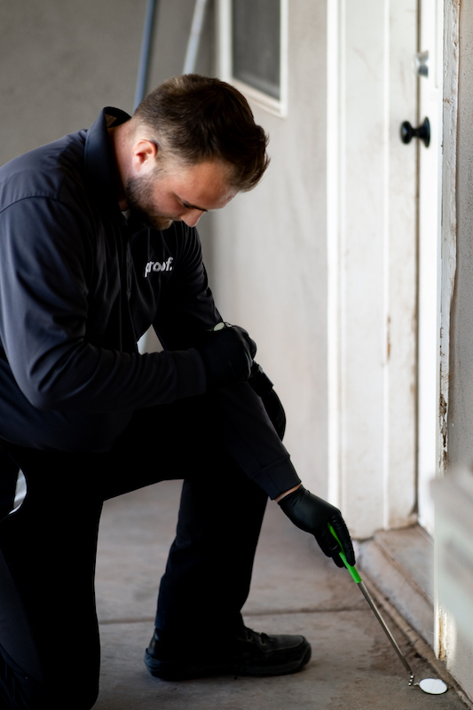 proof. employee inspecting a home for pests