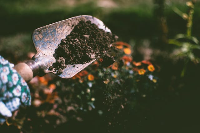 Person shoveling dirt in a garden