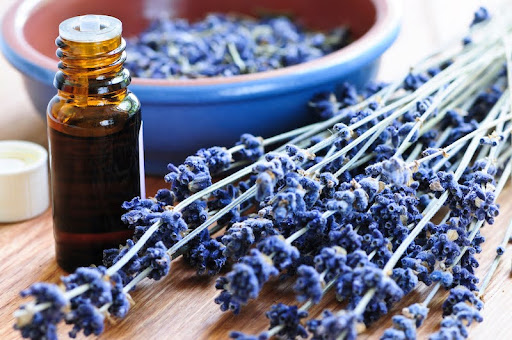 Dried lavender herb and essential aromatherapy oil